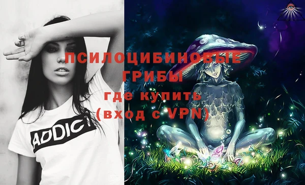 экстази Козловка