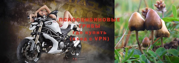 экстази Козловка