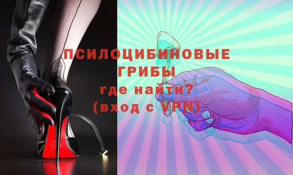 mdpv Кодинск